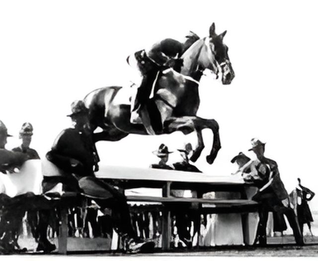 Hazelrigg and Whiskey jumping a picnic table